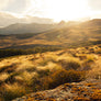 New Zealand